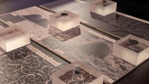 Modified and coated titanium samples